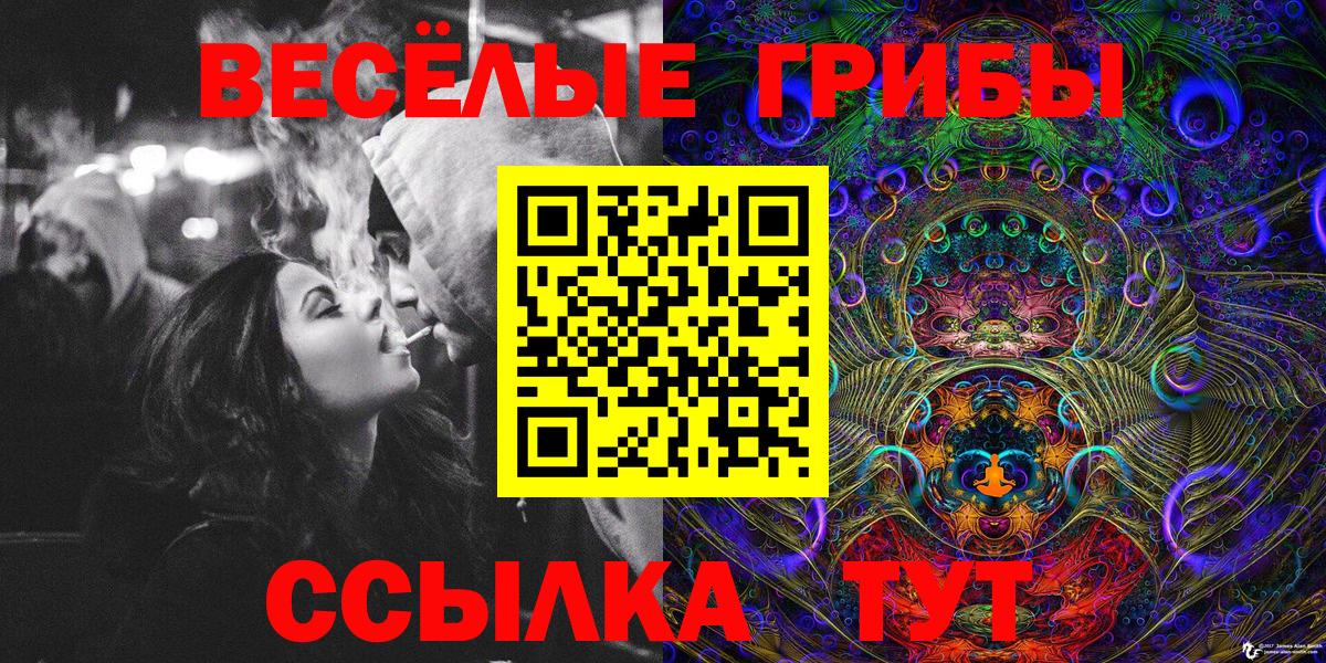 Галлюциногенные грибы прущие грибы Зима