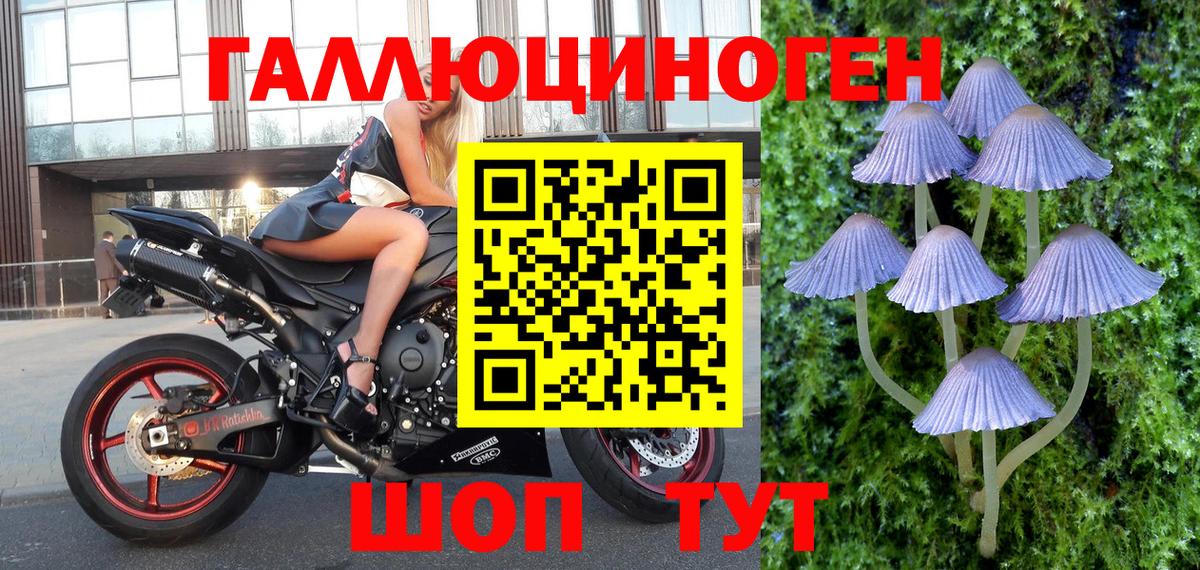 Псилоцибиновые грибы ЛСД  Вход с VPN  магазин продажи   Зима 
